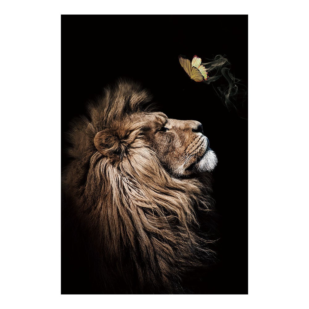 Glasschilderij - Leeuw met Vlinder - 80 x 120 x 0,4 cm