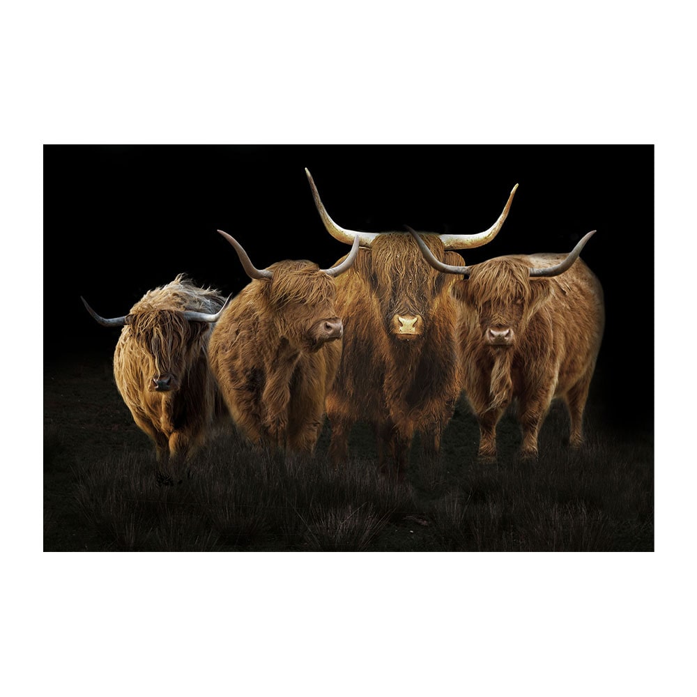 Glasschilderij - Buffels - 160 x 110 x 0,4 cm