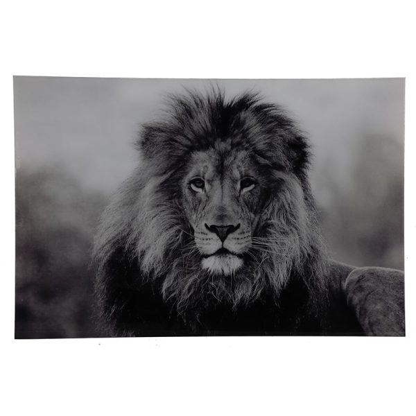 Glasschilderij - Leeuw Portret - 120 x 80 cm
