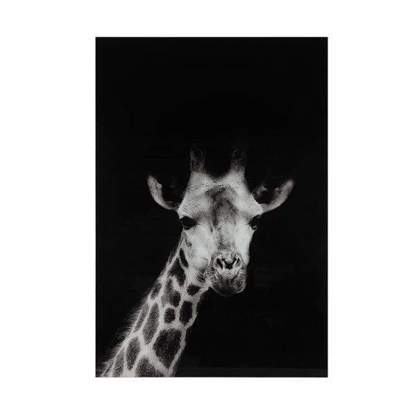 Glasschilderij - Giraffe Mocambo - 120 x 80 cm