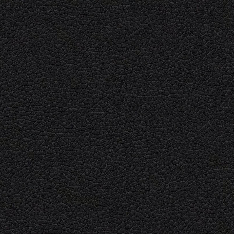 Gitzwart (lederlook)