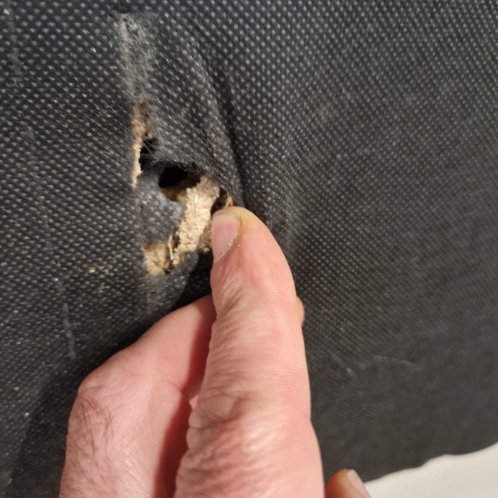 WhatsApp Image 2025-11-18 at 16.22.30.jpeg