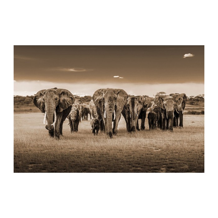 GLAS080120-1070 .jpg